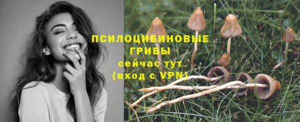 винт Абдулино