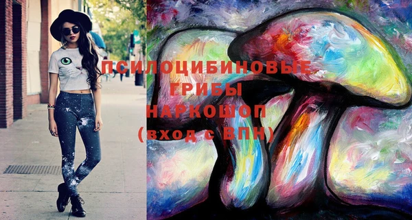 ПСИЛОЦИБИНОВЫЕ ГРИБЫ Абинск