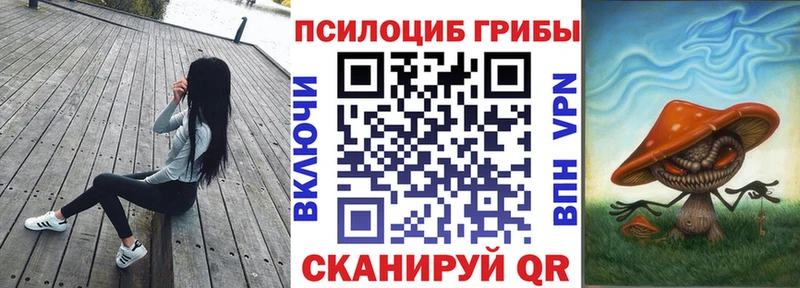 Псилоцибиновые грибы Psilocybe  Задонск 